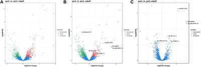 Differential Long Non-Coding RNA Expression Analysis in Chronic Non-Atrophic Gastritis, Gastric Mucosal Intraepithelial Neoplasia, and Gastric Cancer Tissues